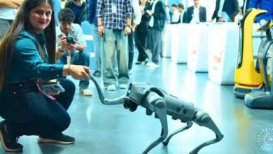 ਗਲਗੋਟੀਆਸ ਯੂਨੀਵਰਸਿਟੀ ਦੇ ਆਪਣੇ ਨੇ ਮੰਗ ਲਈ ਮੁਆਫੀ 4 Photo of ਗਲਗੋਟੀਆਸ ਯੂਨੀਵਰਸਿਟੀ ਦੇ ਆਪਣੇ ਨੇ ਮੰਗ ਲਈ ਮੁਆਫੀ