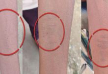 Photo of ਸਕੂਲ ਦੇ 30 ਤੋਂ ਵੱਧ ਵਿਦਿਆਰਥੀਆਂ ਨੇ ਆਪਣੇ ਸਰੀਰ ‘ਤੇ ਮਾਰੇ ਬਲੇਡ