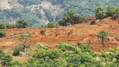 ਜੰਗਲਾਂ ਵਿੱਚੋਂ ਲੰਘਣ ਵਾਲੀ ਲਾਈਨ ਲਈ ਰੇਲਵੇ ਨੇ ਮੰਗੀ ਅੰਤਿਮ ਪ੍ਰਵਾਨਗੀ, ਇੱਕ ਲੱਖ ਤੋਂ ਵੱਧ ਰੁੱਖ ਖ਼ਤਰੇ ਚ 3 Photo of ਜੰਗਲਾਂ ਵਿੱਚੋਂ ਲੰਘਣ ਵਾਲੀ ਲਾਈਨ ਲਈ ਰੇਲਵੇ ਨੇ ਮੰਗੀ ਅੰਤਿਮ ਪ੍ਰਵਾਨਗੀ, ਇੱਕ ਲੱਖ ਤੋਂ ਵੱਧ ਰੁੱਖ ਖ਼ਤਰੇ ਚ