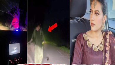 Photo of ਤਲਵਾਰ ਦਿਖਾ ਕੇ ਲੁਟੇਰੇ ਭਜਾਉਣ ਵਾਲੀ NRI ਮਹਿਲਾ ਮਾਮਲੇ ‘ਚ ਵੱਡਾ ਐਕਸ਼ਨ, ਪੁਲਿਸ ਨੇ 2 ਨੂੰ ਕੀਤਾ ਕਾਬੂ