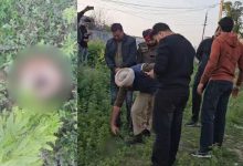 Photo of ਜਲੰਧਰ ‘ਚ ਮਿਲਿਆ ਕੱਟਿਆ ਹੋਇਆ ਸਿਰ, ਚਸ਼ਮਦੀਦ ਬੋਲਿਆ- ਕੁੱਤਾ ਖਾ ਰਿਹਾ ਸੀ ਦਿਮਾਗ, ਪੁਲਿਸ ਜਾਂਚ ਕਰ ਰਹੀ ਜਾਂਚ