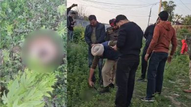 Photo of ਜਲੰਧਰ ‘ਚ ਮਿਲਿਆ ਕੱਟਿਆ ਹੋਇਆ ਸਿਰ, ਚਸ਼ਮਦੀਦ ਬੋਲਿਆ- ਕੁੱਤਾ ਖਾ ਰਿਹਾ ਸੀ ਦਿਮਾਗ, ਪੁਲਿਸ ਜਾਂਚ ਕਰ ਰਹੀ ਜਾਂਚ