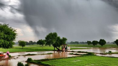 Photo of ਪੰਜਾਬ ‘ਚ ਅੱਜ ਤੂਫ਼ਾਨ-ਗੜ੍ਹੇਮਾਰੀ ਦਾ ਅਲਰਟ, ਤਾਪਮਾਨ ‘ਚ ਗਿਰਾਵਟ; ਜਾਣੋ ਮੌਸਮ ਦਾ ਹਾਲ
