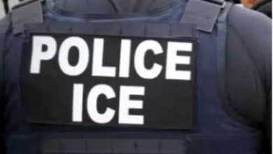 ICE ਨੇ ਕਾਬੂ ਕੀਤੇ 261 ਪ੍ਰਵਾਸੀ, 86 deport 2 Photo of ICE ਨੇ ਕਾਬੂ ਕੀਤੇ 261 ਪ੍ਰਵਾਸੀ, 86 deport