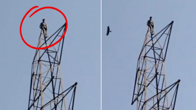 Photo of ਗਾਜ਼ੀਆਬਾਦ ਵਿੱਚ ਇੱਕ ਸ਼ਰਾਬੀ ਵਿਅਕਤੀ ਬਿਜਲੀ ਦੇ ਟਾਵਰ ‘ਤੇ  ਚੜ੍ਹਿਆ
