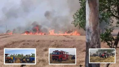 Photo of ਕੋਟਕਪੂਰਾ ਨੇੜੇ ਪਿੰਡ ਕੋਠੇ ਗੱਜਣ ਸਿੰਘ ਵਾਲਾ ਦੇ ਖੇਤਾਂ ‘ਚ ਲੱਗੀ ਭਿਆਨਕ ਅੱਗ, ਕਰੀਬ 40 ਏਕੜ ਕਣਕ ਦੀ ਫਸਲ ਸੜੀ