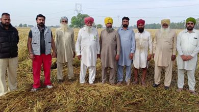 Photo of ਬੇਮੌਸਮੀ ਬਰਸਾਤ ਨਾਲ 1.25 ਲੱਖ ਏਕੜ ਤੋਂ ਵੱਧ ਫਸਲ ਦਾ ਨੁਕਸਾਨ