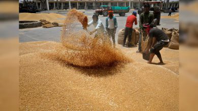 Photo of ਪੰਜਾਬ ਦੇ ਕਿਸਾਨਾਂ ਲਈ ਵੱਡੀ ਖ਼ਬਰ, FCI ਵੱਲੋਂ ਕਣਕ ਦੇ ਗੁਣਵੱਤਾ ਮਾਪਦੰਡਾਂ ‘ਚ ਢਿੱਲ ਦੇਣ ਦੀ ਸਿਫ਼ਾਰਸ਼