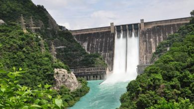 Photo of BBMB ਮਾਮਲੇ ‘ਚ ਹਾਈ ਕੋਰਟ ਨੇ ਖਾਰਜ ਕੀਤੀ, ਪੰਜਾਬ ਸਰਕਾਰ ਦੀ ਪਟੀਸ਼ਨ