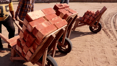 Photo of ਪੰਜਾਬ ‘ਚ ਅਸਮਾਨੀ ਚੜ੍ਹੇ ਇੱਟਾਂ ਦੇ ਰੇਟ, ਕੋਲੇ ਦੀ ਮਹਿੰਗਾਈ ਨਾਲ ਭੱਠਾ ਉਦਯੋਗ ‘ਚ ਸੰਕਟ ਗਹਿਰਾਇਆ