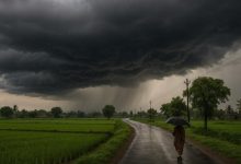 Photo of ਗਰਮੀ ਦੀ ਲਪੇਟ ‘ਚ ਪੰਜਾਬ ਤੇ ਚੰਡੀਗੜ੍ਹ; ਤਾਪਮਾਨ 38°C ਦੇ ਨੇੜੇ, 19 ਅਪ੍ਰੈਲ ਨੂੰ ਕੁਝ ਇਲਾਕਿਆਂ ‘ਚ ਮੀਂਹ ਦੀ ਸੰਭਾਵਨਾ