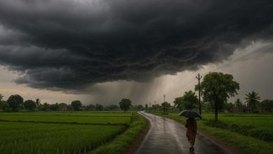 Photo of ਗਰਮੀ ਦੀ ਲਪੇਟ ‘ਚ ਪੰਜਾਬ ਤੇ ਚੰਡੀਗੜ੍ਹ; ਤਾਪਮਾਨ 38°C ਦੇ ਨੇੜੇ, 19 ਅਪ੍ਰੈਲ ਨੂੰ ਕੁਝ ਇਲਾਕਿਆਂ ‘ਚ ਮੀਂਹ ਦੀ ਸੰਭਾਵਨਾ