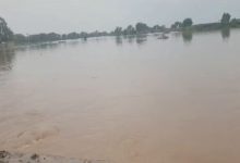 Photo of ਘੱਗਰ ‘ਚ ਮੱਛੀਆਂ ਫੜ ਰਹੇ ਦੋ ਦੋਸਤ ਪਾਣੀ ‘ਚ ਵਹੇ