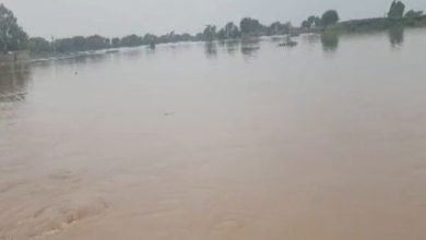 Photo of ਘੱਗਰ ‘ਚ ਮੱਛੀਆਂ ਫੜ ਰਹੇ ਦੋ ਦੋਸਤ ਪਾਣੀ ‘ਚ ਵਹੇ