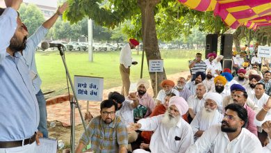 Photo of ਅੱਜ ਪੰਜਾਬ ਦੀਆਂ ਸਮੂਹ ਐੱਸ ਸੀ/ਬੀ ਸੀ ਅਤੇ ਸਮਾਜਿਕ ਜਥੇਬੰਦੀਆਂ ਵਲੋਂ ਪੰਜਾਬ ਖੇਤੀਬਾੜੀ ਯੂਨੀਵਰਸਿਟੀ ਲੁਧਿਆਣਾ ਵਿਖੇ ਸੂਬਾ ਪੱਧਰੀ ਧਰਨਾ ਲਗਾਇਆ ਗਿਆ।